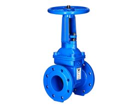 Dimax Reslient Seated Gate Valve OS&Y PN16 Table E 200mm Clockwise Close