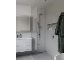 In Situ - Posh Bristol Pin Shower Mixer Chrome Lead Free