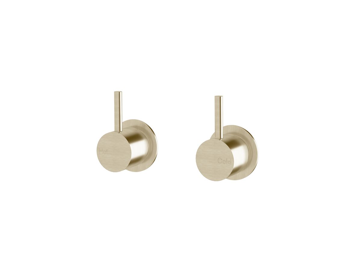Sussex Scala Wall Top Assembly LUX PVD Brushed Platinum Gold