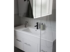 In Situ - Posh Bristol Pin Swivel Basin Mixer Matte Black (5 Star) Lead Free