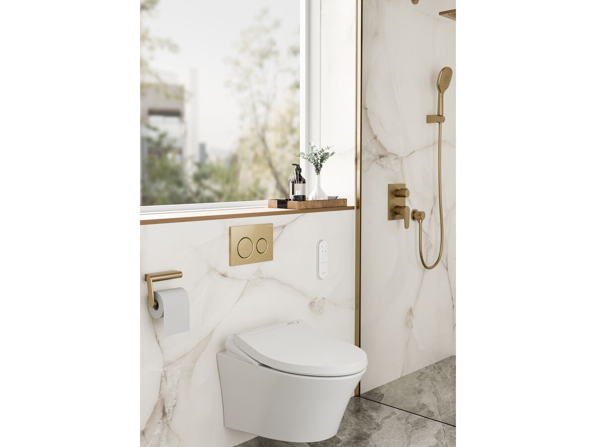 In Situ - Geberit Omega01 Dual Flush Button Brushed Brass