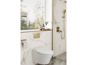 In Situ - Geberit Omega01 Dual Flush Button Brushed Brass