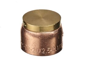 Auspex End Stop 20mm