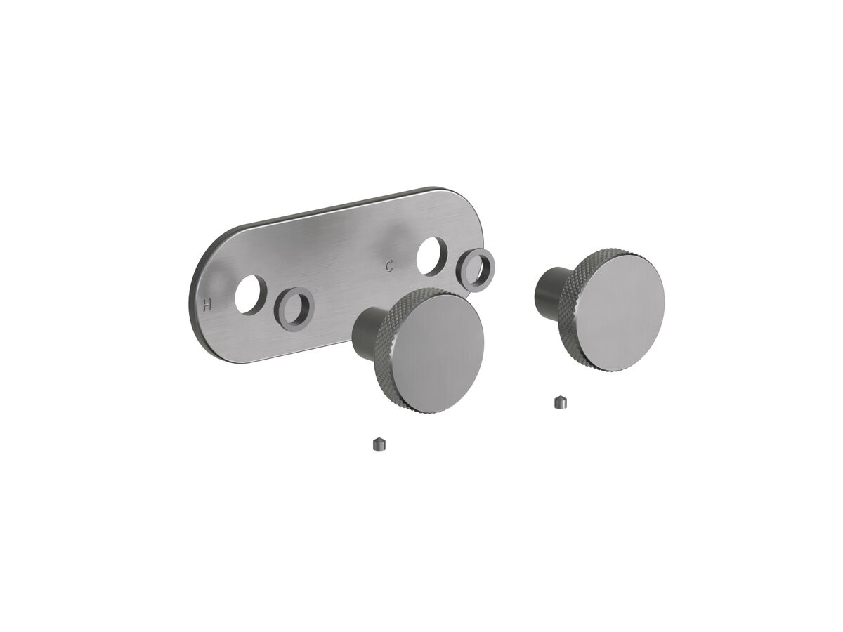 Supporting Image - Faucet Strommen Vara Disc Wall Top Assembly Kit Brushed Graphite Lead Free