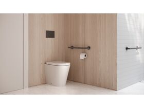 In Situ - Mizu Commercial Bathroom - Straight Grab Rail - Brushed Gunmetal