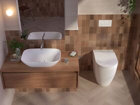 In Situ - Caroma Forma II Matte 1