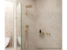 In Situ - Shower - Brushed Brass