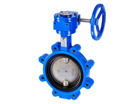 Dimax Gear Operated Butterfly Valve Lugged Table D DN150