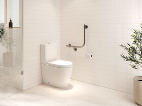 In Situ - Mizu Commercial Bathroom - Wolfen Close Coupled Back to Wall Toilet Brushed Gunmetal