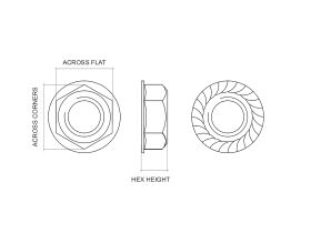 Bridgland ZP Wizz Nut (100)