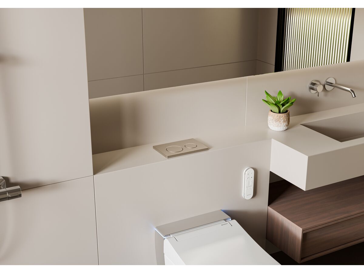 In Situ - Geberit Omega01 Dual Flush Button Brushed Nickel