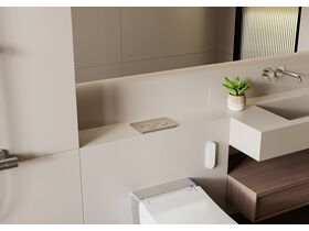 In Situ - Geberit Omega01 Dual Flush Button Brushed Nickel