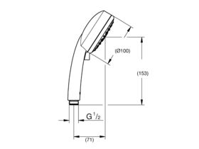 GROHE Tempesta Cosmo 100mm 4 Function Handpiece Chrome (Not Star Rated)