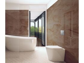Geberit Sigma 01 Dual Flush Access Plate ABS Plastic Satin / Chrome