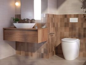 In Situ - Caroma Forma II Matte