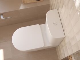 In Situ - Caroma Forma II Toilet