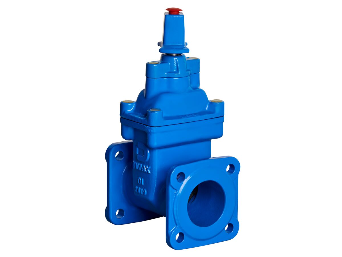 80mm Dimax FL Valve