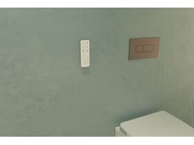 In Situ - Caroma Forma II Bidet Cleanflush Invisi Back to Wall Overheight Toilet Suite Gloss White (4 Star)