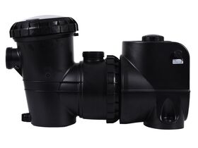 Henden Variable Speed Pump