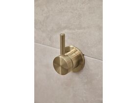 In Situ - Milli Etch Shower Mixer Kit Brushed Gold Lead Free