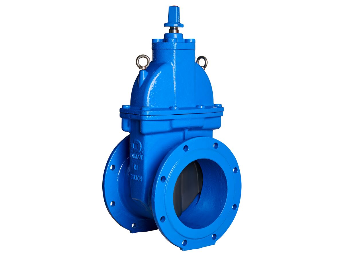 250mm Dimax FL Valve