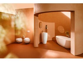 In Situ 2 - LAUFEN Alessi Rimless Wall Hung Pan with Soft Close Seat White (4 Star)