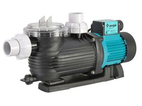 Pentair Pantera Pump