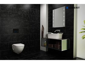 Sigma 80 Touchless Sensor Flush Operation