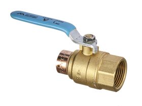 Auspex Ball Valve 25mm x 25mm Female