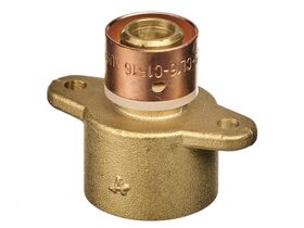 Auspex Poly x Female Wingback Adaptor 20mm x 3/4"