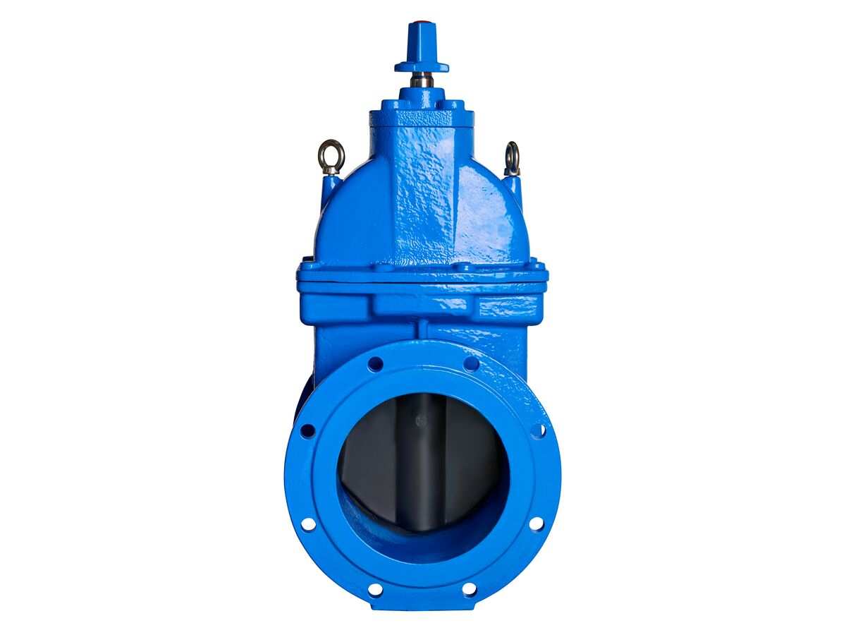 250mm Dimax FL Valve