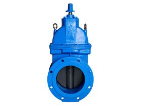 250mm Dimax FL Valve