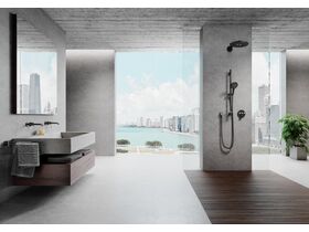 Bathroom In Situ Scene