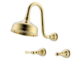 Milli Voir Gooseneck Shower Set Lever Handle Brass Gold (3 Star)