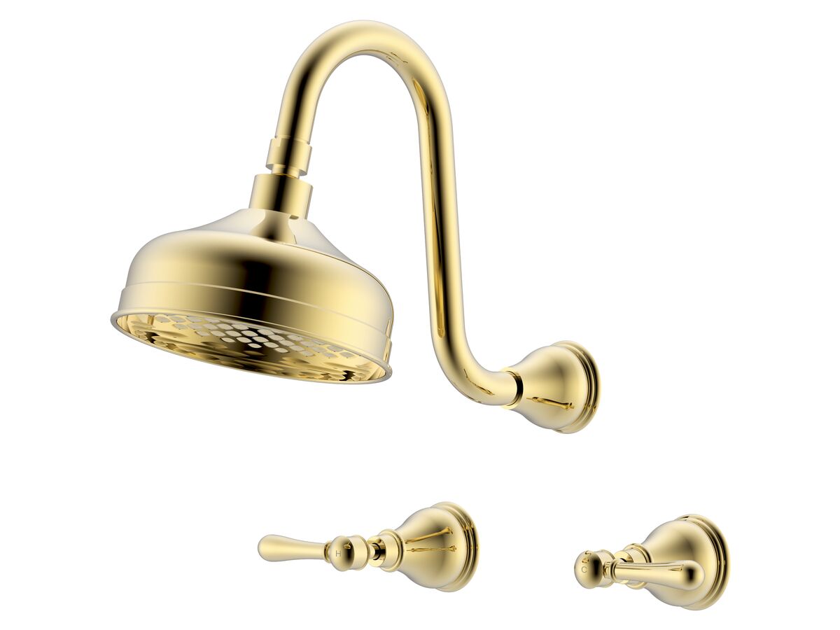 Milli Monument Edit Gooseneck Shower Set Lever Handles Brass Gold (3