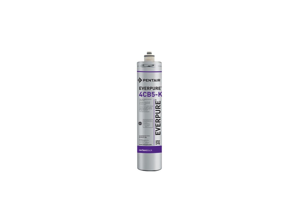 Everpure Water Filter Cartridge 4CB5-K