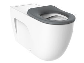 Roca Meridian 800 Rimless Back to Wall Pan with Single Flap Seat Grey (4 Star)