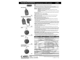 Technical Guide - CAREL Programming Key PSOPZKEY00