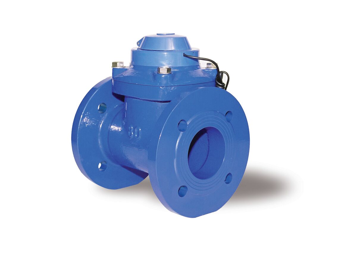 Omega Flanged Water Meter Table E