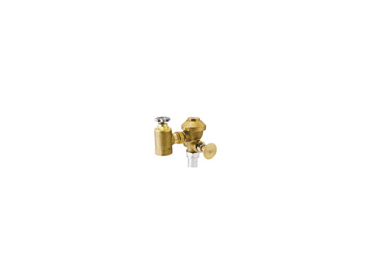 Zurn Concealed Flush Valve with Push Button & Isolation Valve Low