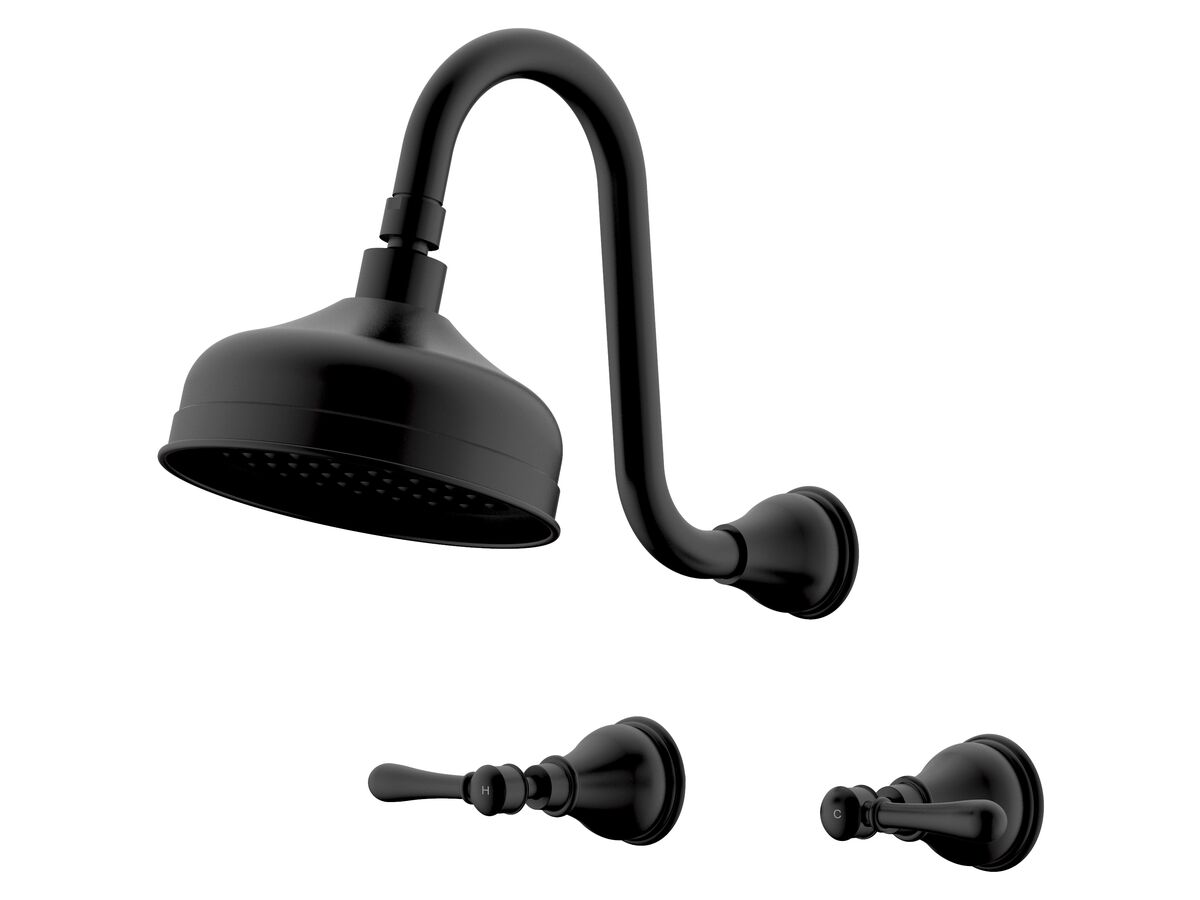 Milli Monument Edit Gooseneck Shower Set Lever Handles Matte Black (3