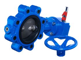 Zurn Lugged Go Butterfly Valve - Table E