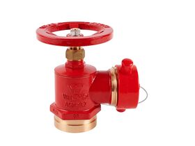 Dura Landing Valve 80RG/65BSP x CFA