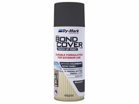 Colorbond Spray Paint Monument 300G