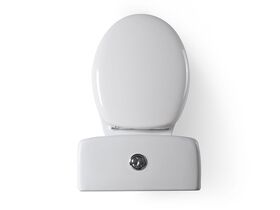 Posh Solus Close Coupled Toilet Suite with Soft Close Quick Release Seat White/ Chrome (4 Star)