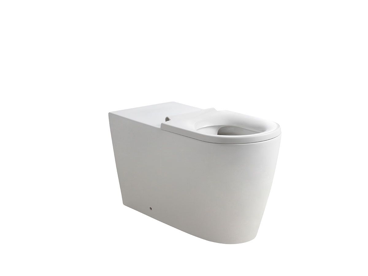 Wolfen 800 Back To Wall Rimless Pan & Seat