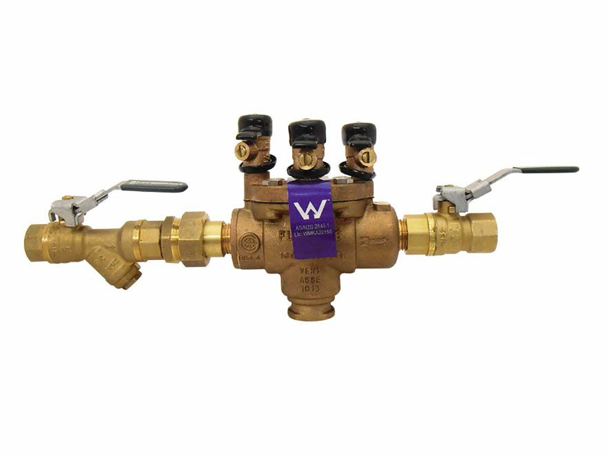 RPZ with Ball Valves & Strainer Horizontal