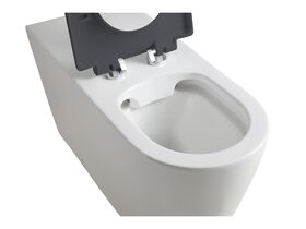 Wolfen 800 Back To Wall Toilet Pan with Single Flap Seat Grey (4 Star)