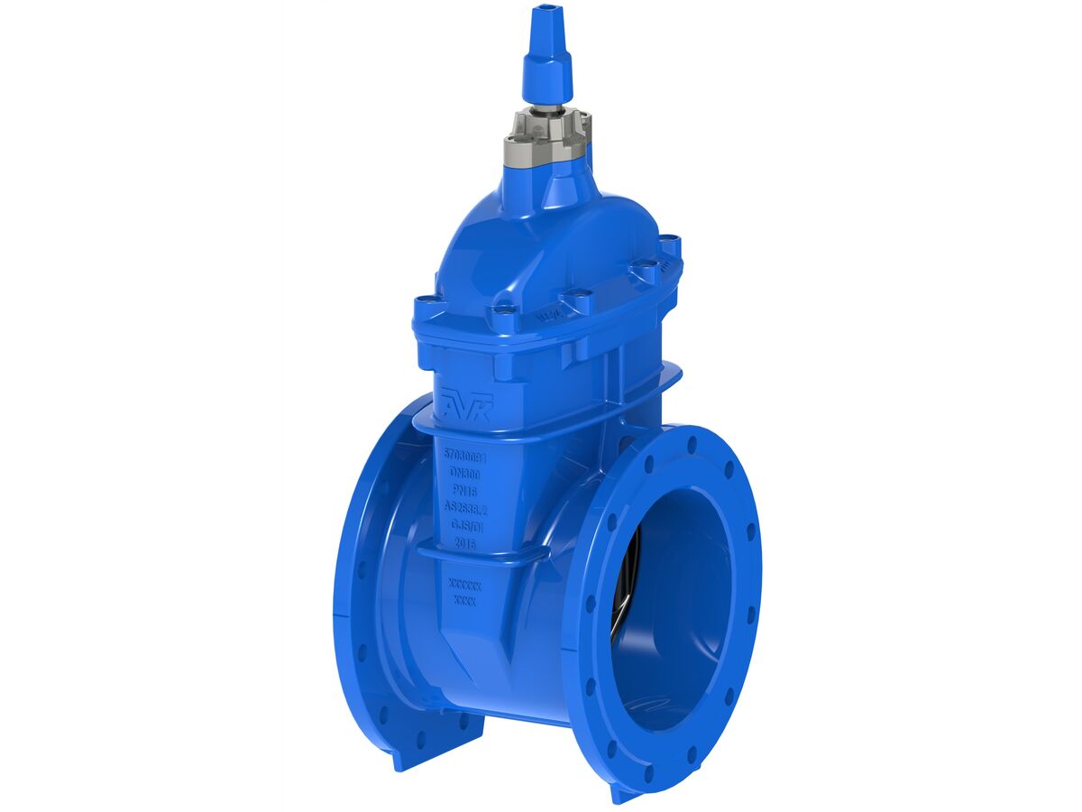 RS Sluice Valve PN16 Table D Acc Flanged