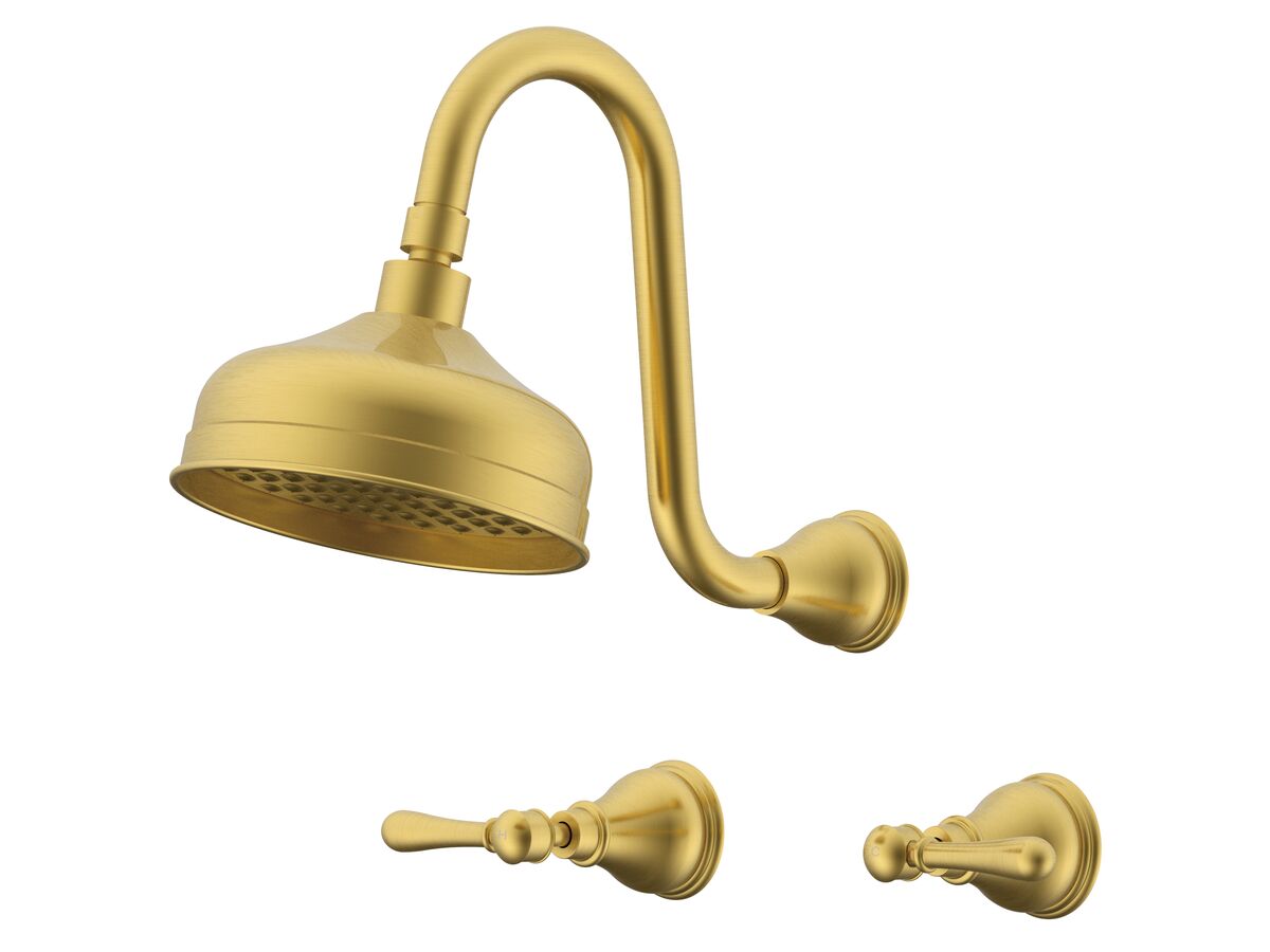 Milli Monument Edit Gooseneck Shower Set Lever Brushed Gold (3 Star